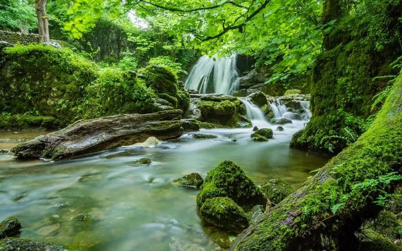 高性能可靠性全自动